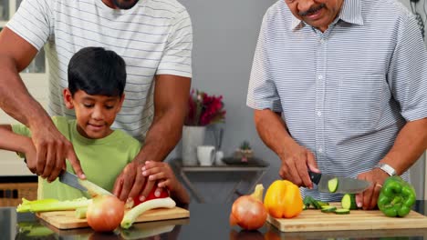 Grandfather-and-father-assisting-boy-to-cut-vegetables-4k