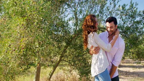 Romantisches-Paar,-Das-Sich-In-Der-Olivenfarm-4k-Umarmt
