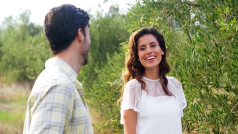 Glückliches-Paar,-Das-Spaß-In-Der-Olivenfarm-4k-Hat