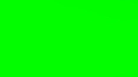 Person-making-hand-gesture-against-green-screen-background