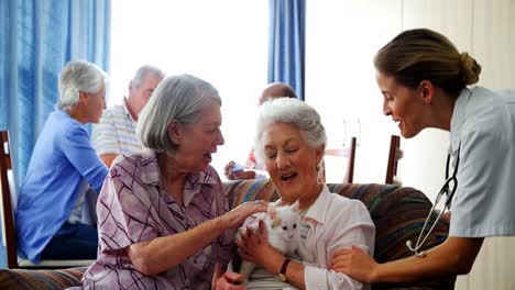 Senior-women-stroking-kitten-while-interacting-with-doctor-4k