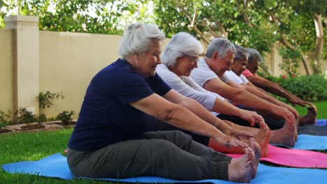 Senior-friends-doing-stretching-exercise-in-garden-4k