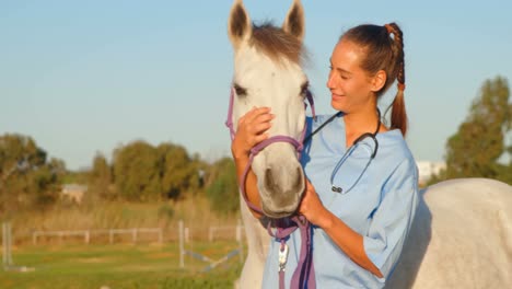 Veterinarian-doctor-standing-with-horse-4k
