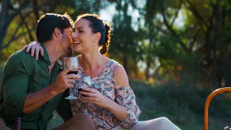 Couple-toasting-glass-of-wine-on-a-sunny-day-4k