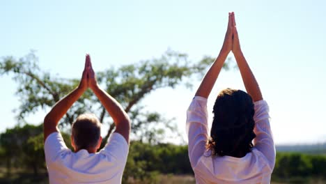 Paar-Macht-Yoga-Im-Resort-An-Einem-Sonnigen-Tag-4k