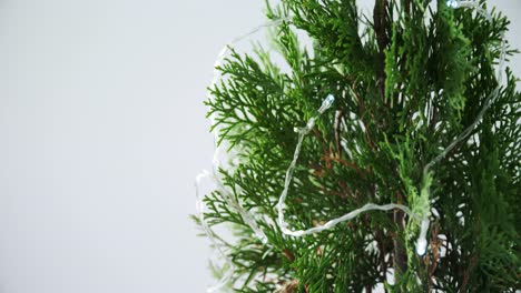 árbol-De-Navidad-Con-Decoración-Sobre-Fondo-Blanco-4k