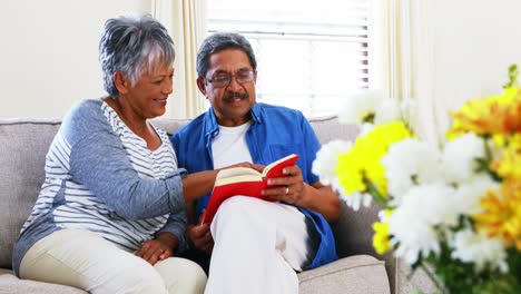 Senior-couple-reading-a-novel-in-living-room-4k