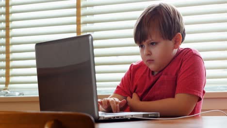 Boy-using-laptop-at-home-4k
