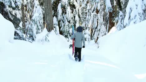 Vista-Trasera-De-Una-Mujer-Caminando-Con-Snowboard-4k