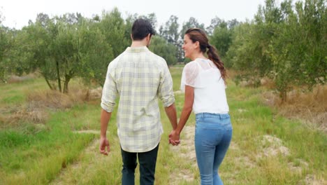 Rear-view-of-couple-walking-with-hand-in-hand-4k