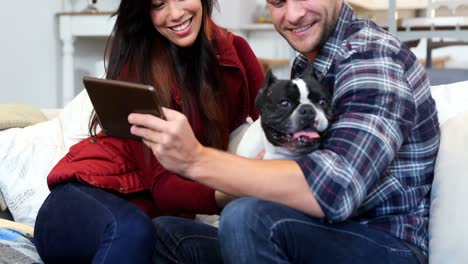 Glückliches-Paar,-Das-Ein-Digitales-Tablet-Nutzt,-Während-Es-Mit-Einem-Mopshund-4k-Spielt
