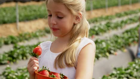 Mädchen-Isst-Erdbeeren-Auf-Dem-Bauernhof-4k