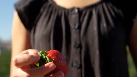 Girl-holding-strawberry-in-her-hand-at-farm-4k