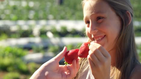 Mädchen-Halten-Erdbeeren-Auf-Dem-Bauernhof-4k