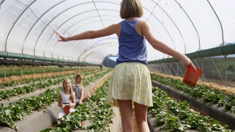 Girls-plucking-strawberries-in-the-farm-4k