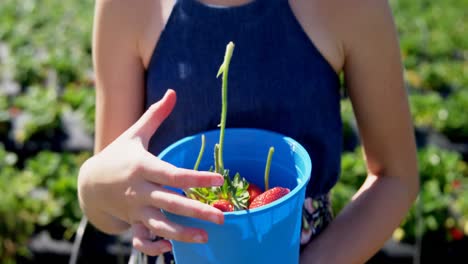 Girl-holding-bucket-of-strawberries-in-the-farm-4k