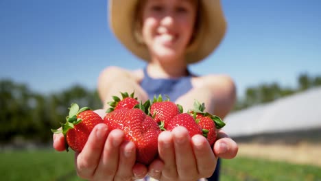 Girl-holding-strawberries-in-the-farm-4k