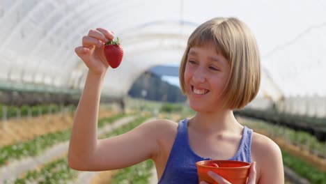 Girl-holding-strawberry-in-the-farm-4k