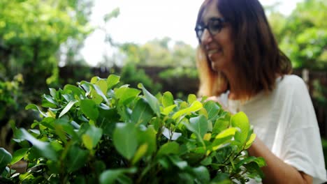 Mujer-Madura-Plantando-En-El-Jardín-4k