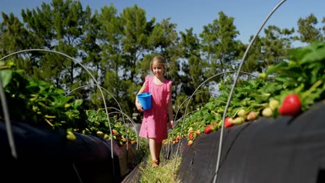 Girls-walking-strawberries-in-the-farm-4k