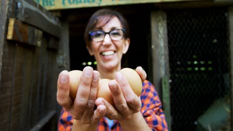 Mature-woman-holding-brown-eggs-in-the-pen-4k