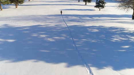Hiker-walking-on-a-snowy-landscape-4k