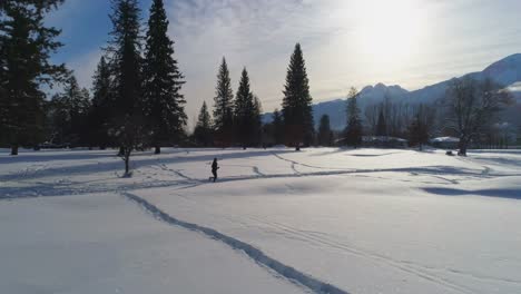 Woman-jogging-on-snowy-landscape-4k