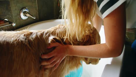 Frau-Wäscht-Ihren-Hund-Im-Badezimmer-4k