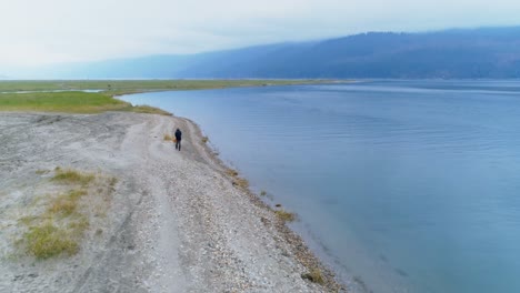 Man-walking-with-his-dog-near-lakeside-4k