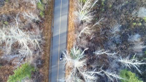 Aerial-of-person-cycling-on-a-country-road-4k