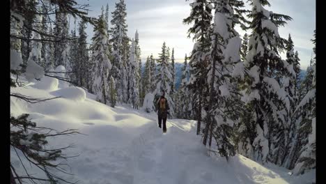 Mujer-Con-Mochila-Caminando-Por-La-Ladera-De-La-Montaña-Cubierta-De-Nieve-4k