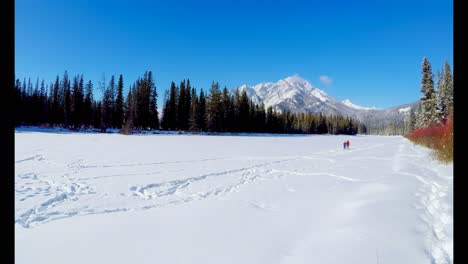 Skier-couple-walking-on-snowy-landscape-4k