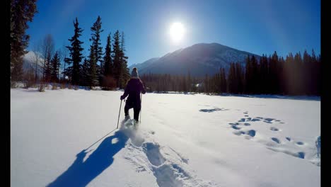 Skier-woman-walking-on-snowy-landscape-during-winter-4k