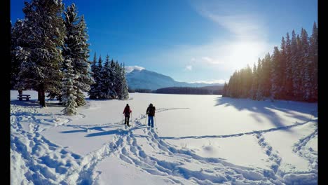 Skier-couple-walking-on-snowy-landscape-4k