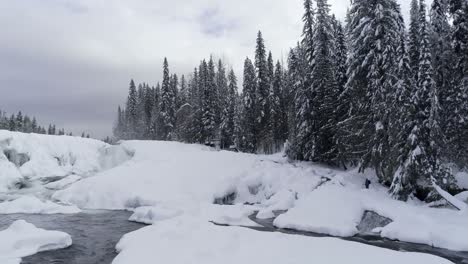 Stream-flowing-through-snowy-forest-4k