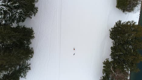 Hombre-Con-Perro-Caminando-Por-Un-Bosque-Nevado-4k