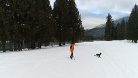 Hombre-Con-Perro-Caminando-Por-Un-Bosque-Nevado-4k