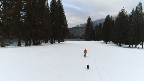 Hombre-Con-Perro-En-Bicicleta-En-Un-Bosque-Nevado-4k