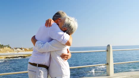 Senior-couple-embracing-each-other-near-seaside-4k