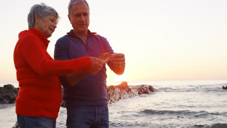 Senior-couple-holding-seashell-in-the-beach-4k