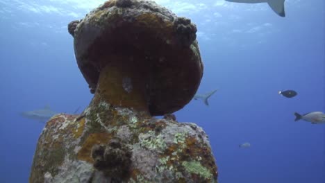 Underwater-Diving