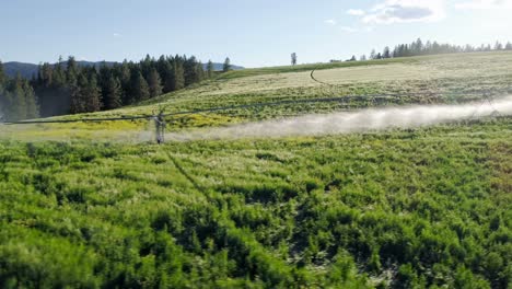 Irrigation-of-green-crops-4k