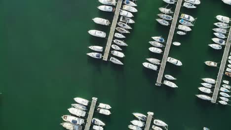 Aerial-view-of-harbor-4k