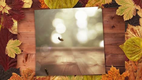 Autumn-leaves-frame-and-screen-showing-falling-autumn-leaves-4k