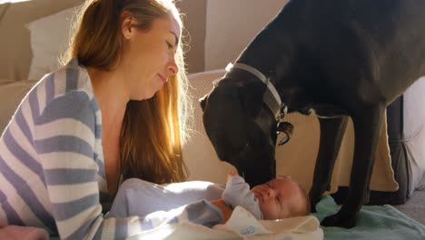 Mother-with-her-baby-boy-and-pet-dog-4k