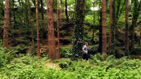 Man-jogging-in-the-forest-4k