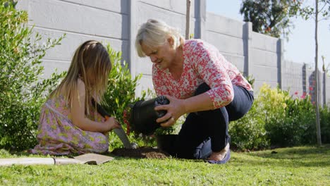 Grandmother-and-granddaughter-planting-in-garden-4k