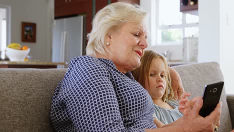 Grandmother-and-granddaughter-using-mobile-phone-in-living-room-4k