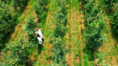 Couple-farming-in-the-green-farm-4k