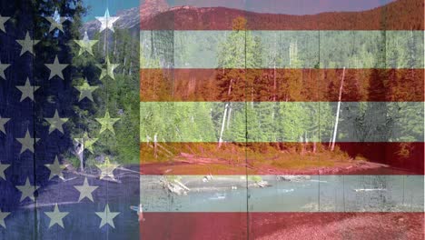 Wald-Mit-Bergen-Gegen-Amerikanische-Flagge